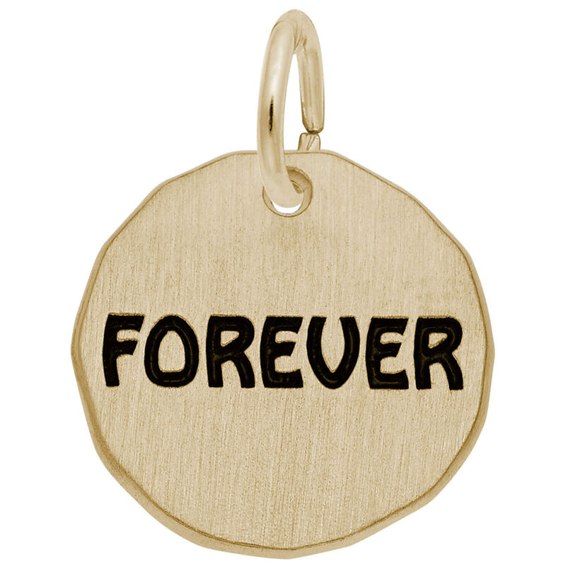 Forever Charm Tag in 14K Yellow Gold image number null