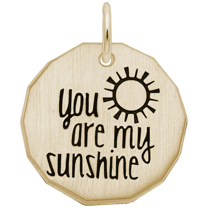 You Are My Sunshine Charm in 14K Yellow Gold image number null