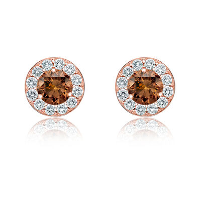 Champagne 1/4ctw. Diamond Halo Stud Earrings in 14k Rose Gold