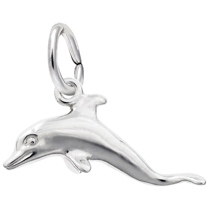 Dolphin Charm in 14K White Gold image number null