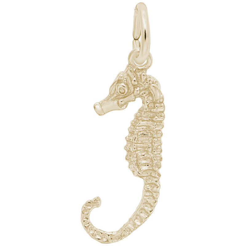 Seahorse Charm in 14K Yellow Gold image number null