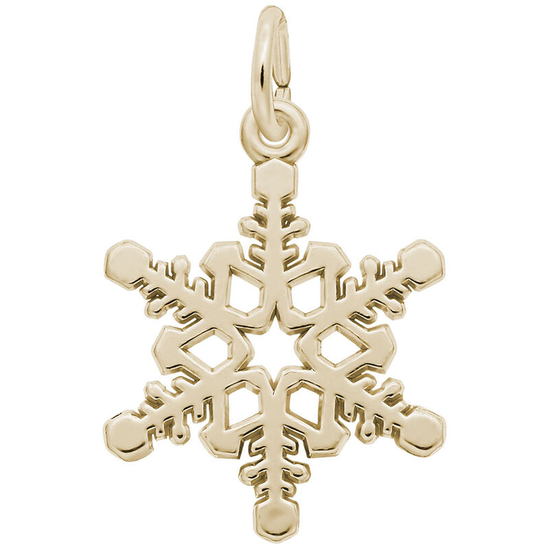 Pharmacy Charm in Gold Plated Sterling Silver image number null