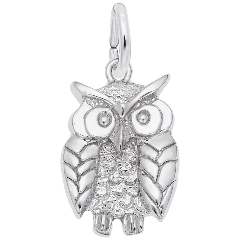 Wise Owl Charm in 14k White Gold image number null