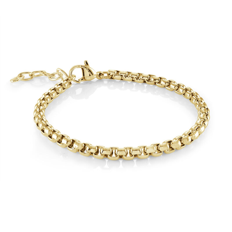 Italgem Steel Round Box Chain 26" in Gold IP Stainless Steel (3.5mm) image number null