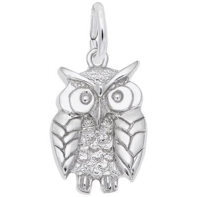 Wise Owl Charm in Sterling Silver