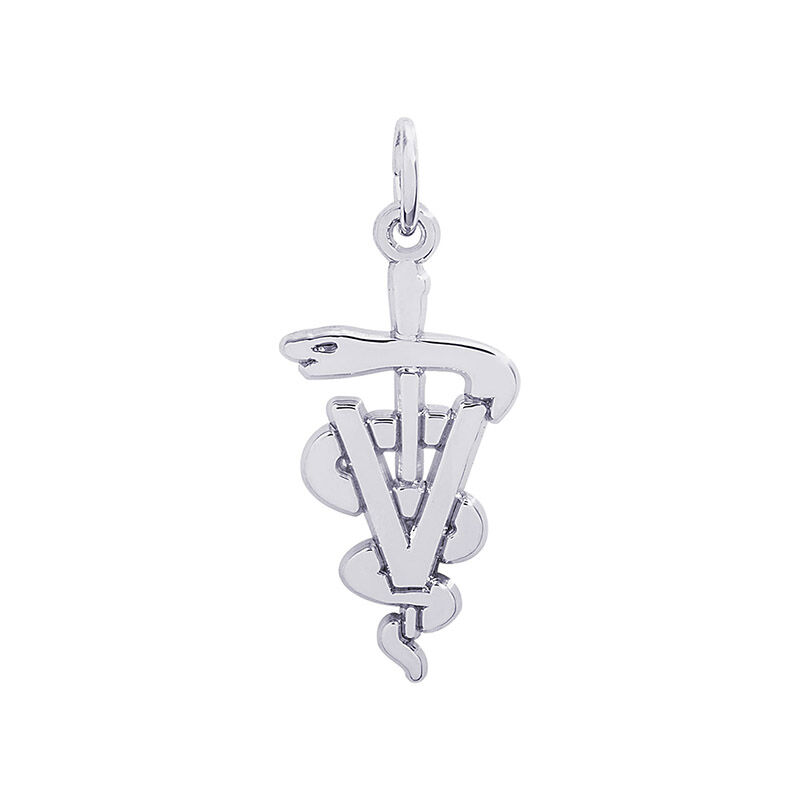 Veterinarian Sterling Silver Charm image number null