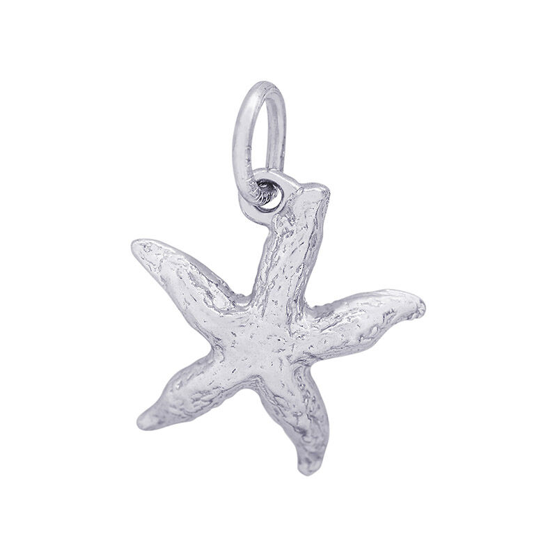 Starfish Sterling Silver Charm image number null