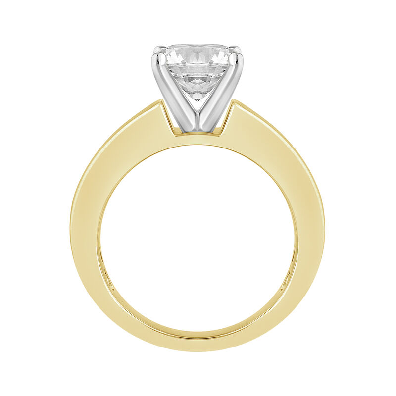 Brilliant-Cut Lab Grown 1/2ctw. Diamond Wide Band Engagement Ring Setting in 14k Yellow Gold image number null