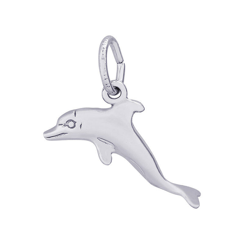 Dolphin Sterling Silver Charm image number null