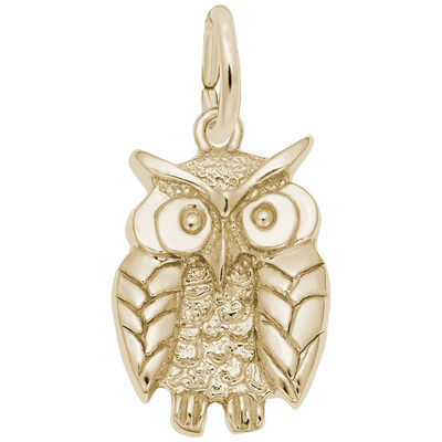 Wise Owl Charm in 14k Yellow Gold
