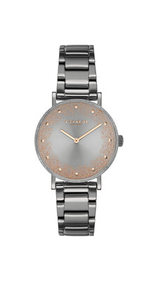Coach Ladies' Stainless Steel Perry Watch 14503640