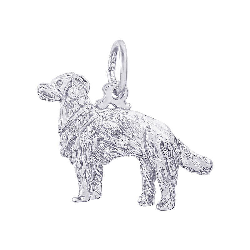 Golden Retriever Sterling Silver Charm image number null