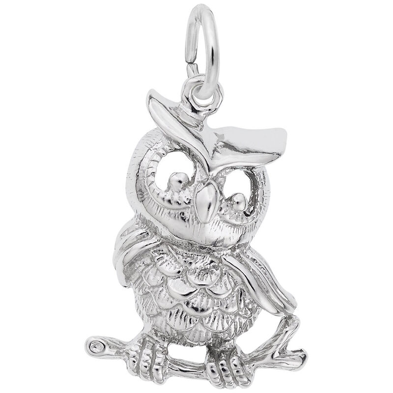 Sitting Owl Charm in Sterling Silver image number null