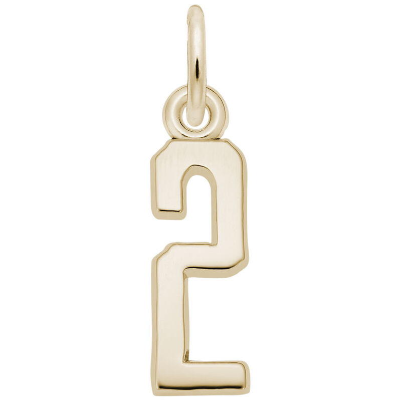 Number 2 Charm in 14k Yellow Gold image number null
