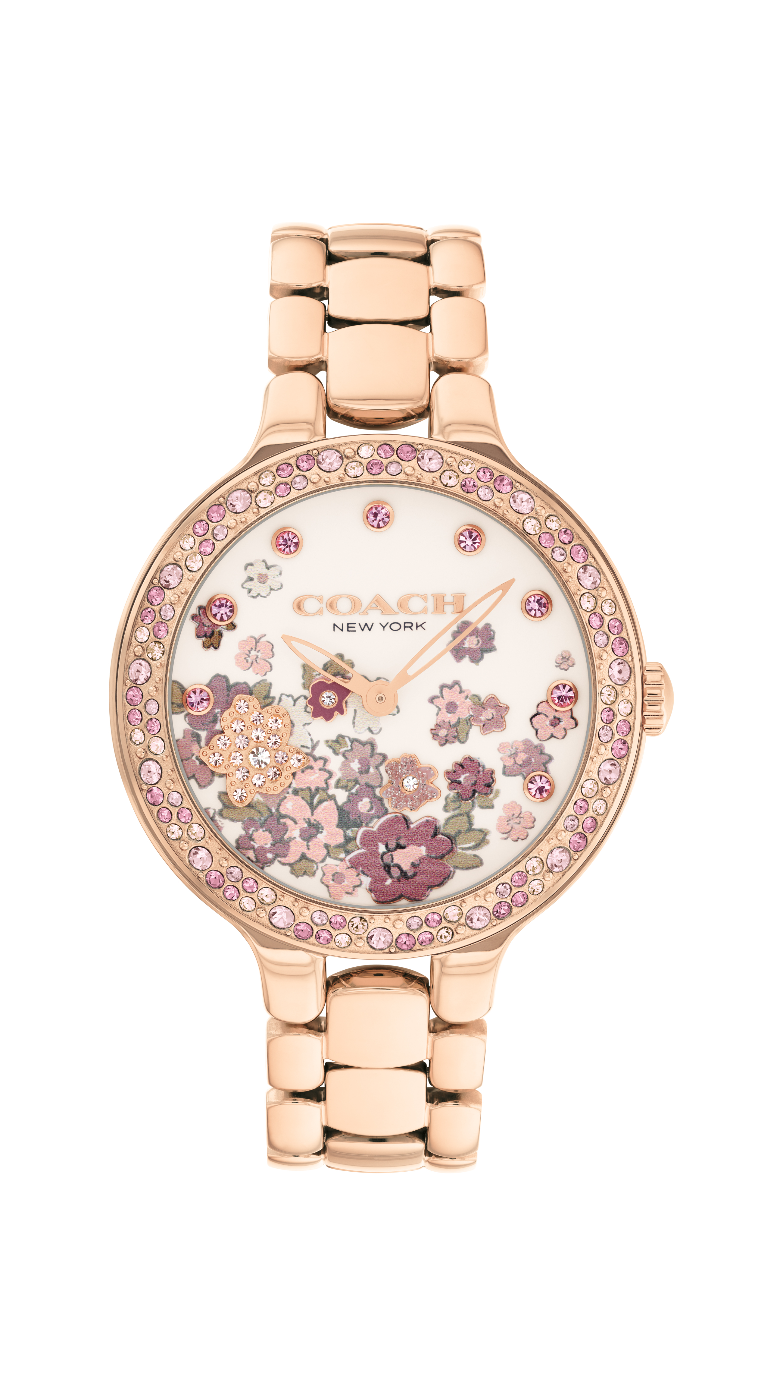 Coach Ladies display picture 1